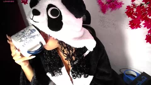 chleo_rosse online show from April 17, 2026, 3:42 am