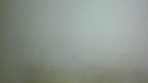 chocolatebony_ online show from January 22, 2025, 10:05 pm