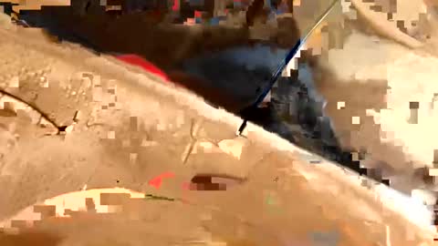 Snapshot of chodaddy737 chatting on January 13, 2025, 4:51 pm CHOdaddy online show from January 13, 2025, 4:51 pm