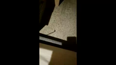 Snapshot of chrisgogo121 chatting on November 17, 2025, 10:26 pm chrisgogo121 online show from November 17, 2025, 10:26 pm