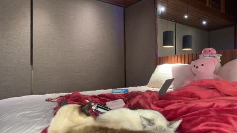 Snapshot of christinasage chatting on September 18, 2025, 4:03 am Christina Sage online show from September 18, 2025, 4:03 am