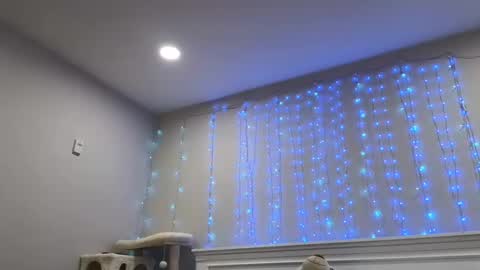 Snapshot of christy_love chatting on December 29, 2024, 1:24 am Christy Love online show from December 29, 2024, 1:24 am