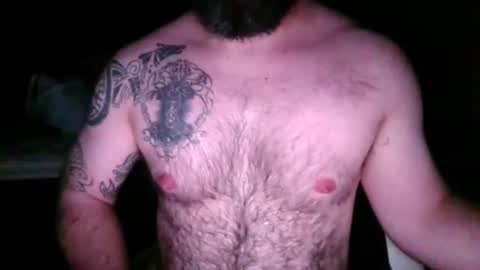 chub bear 99 online show from April 25, 2026, 1:41 am