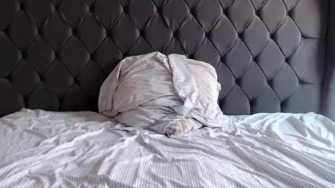 chubbydays online show from April 3, 2026, 7:34 pm