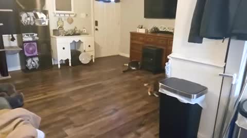 Snapshot of chubbyhubbyy420 chatting on September 12, 2025, 1:44 pm ChubbyHubby420 online show from September 12, 2025, 1:44 pm