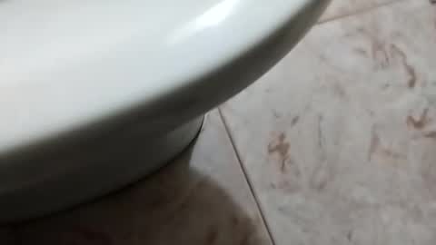 ciccilli online show from October 5, 2025, 8:29 pm