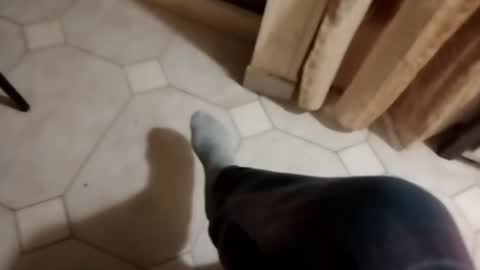 ciccilli online show from October 16, 2025, 9:49 pm