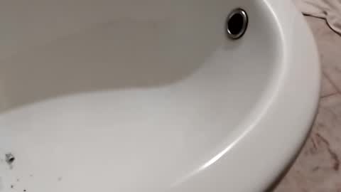 ciccilli online show from October 26, 2025, 11:20 pm