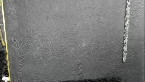 cintyarose online show from February 26, 2026, 1:21 pm