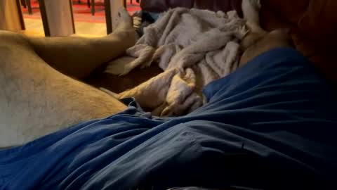 Cjd32 online show from December 13, 2024, 9:52 pm