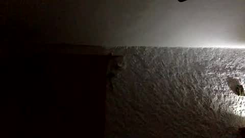 claudi779 online show from January 11, 2026, 8:03 pm