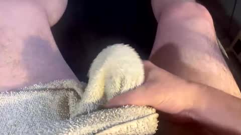 Clover online show from November 26, 2025, 4:30 pm