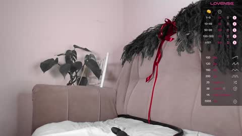 Herman online show from December 8, 2024, 2:18 am