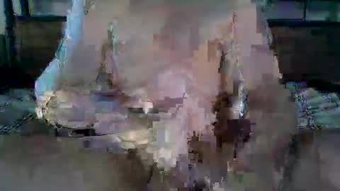 Ethan Slade online show from April 19, 2026, 11:18 pm