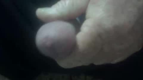 cocktoys online show from February 1, 2026, 4:11 am