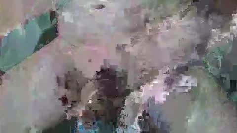 cogela_sin_miedo online show from October 6, 2025, 11:46 pm
