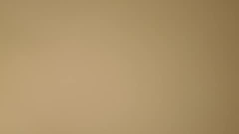 color233 online show from November 8, 2025, 12:22 am