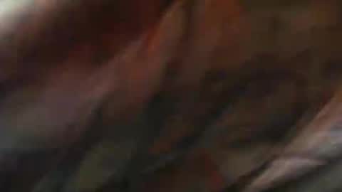 Snapshot of comox1961 chatting on February 10, 2025, 9:04 am comox online show from February 10, 2025, 9:04 am