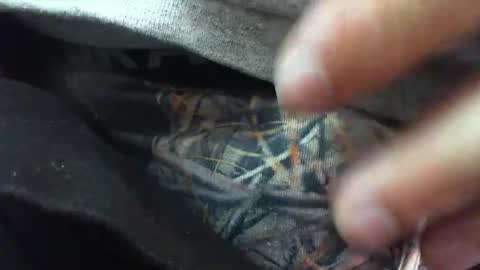 Snapshot of comox1961 chatting on March 6, 2025, 8:30 am comox online show from March 6, 2025, 8:30 am