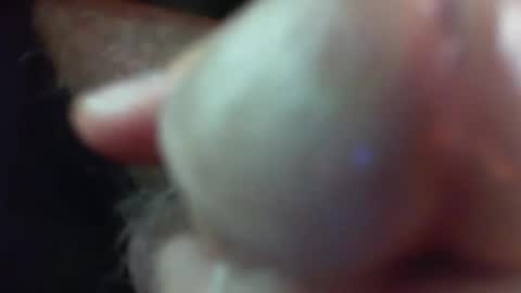 Snapshot of comox1961 chatting on November 29, 2025, 5:21 am comox online show from November 29, 2025, 5:21 am