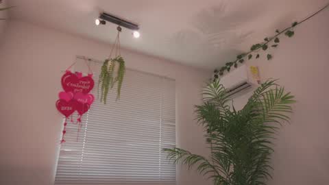 ROSELL 3   online show from February 20, 2026, 8:31 pm