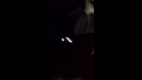 cory58596 online show from February 14, 2026, 8:33 am