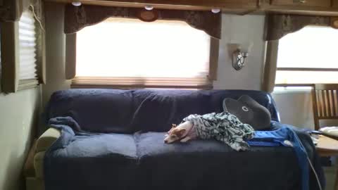 Chester  Melissa online show from February 24, 2025, 6:15 pm