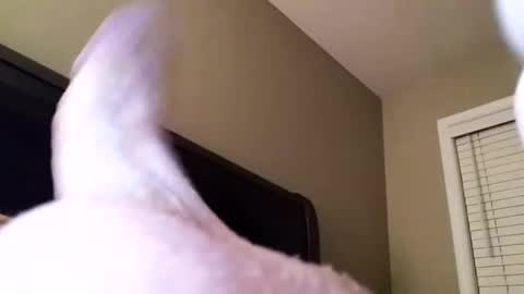 Cranada777 online show from December 31, 2024, 1:04 am