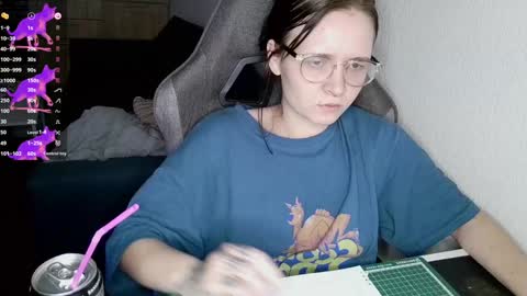 crash_test13 online show from December 26, 2024, 2:05 pm