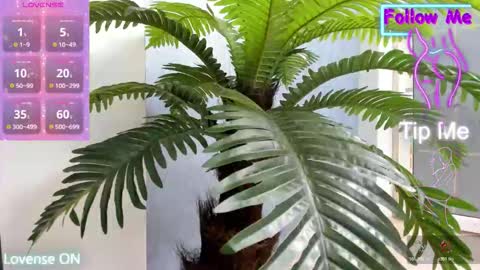 Snapshot of crazy_muscle chatting on November 10, 2025, 5:28 am tattoodoll online show from November 10, 2025, 5:28 am