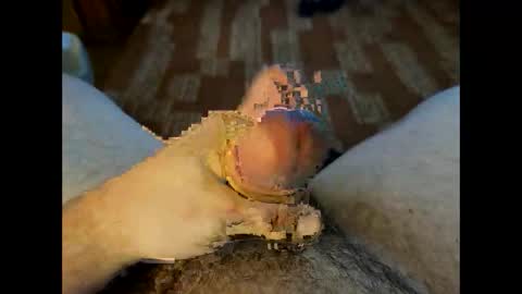 Crazycock online show from March 23, 2026, 4:22 pm