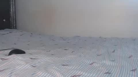 Snapshot of creamybabes0 chatting on January 6, 2026, 5:33 am creamybabes0 online show from January 6, 2026, 5:33 am