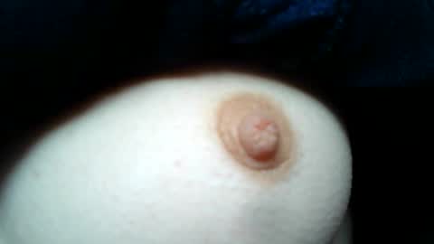 cremina online show from April 26, 2026, 10:46 am