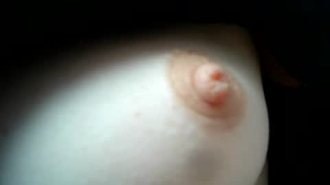 cremina online show from April 30, 2026, 1:28 pm