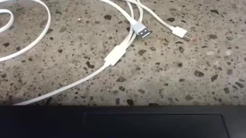 cruelworldxxx online show from February 22, 2026, 10:52 pm