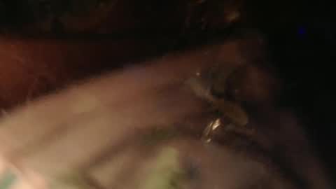 Snapshot of cryan78 chatting on February 2, 2025, 6:31 pm cryan96 online show from February 2, 2025, 6:31 pm