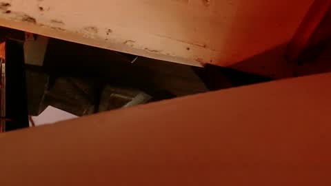 Snapshot of cryan78 chatting on February 4, 2025, 8:56 am cryan96 online show from February 4, 2025, 8:56 am