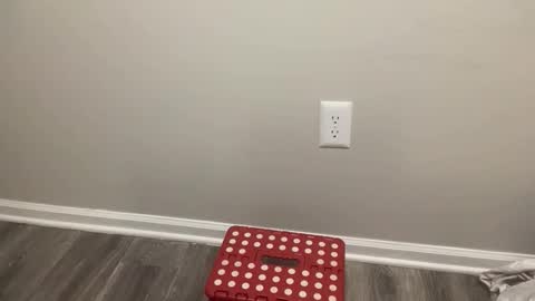 BlacTrojan OF online show from February 4, 2026, 8:47 pm