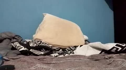 cumbian_chero online show from February 22, 2025, 1:22 am