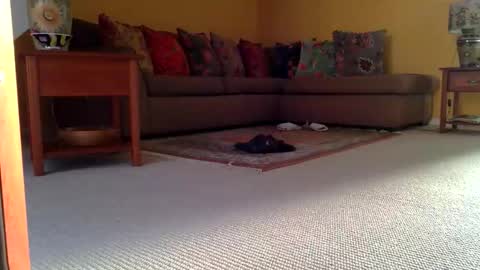 cumonherguys online show from November 8, 2025, 8:36 am