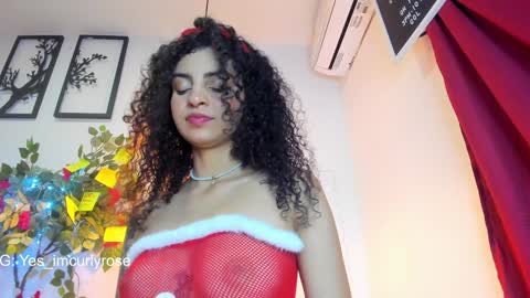 Snapshot of curlyrose_ chatting on December 24, 2024, 11:55 pm Rose online show from December 24, 2024, 11:55 pm