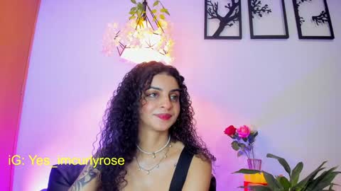 Snapshot of curlyrose_ chatting on January 26, 2025, 1:20 am Rose online show from January 26, 2025, 1:20 am