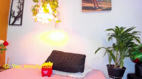 Snapshot of curlyrose_ chatting on January 28, 2025, 8:04 pm Rose online show from January 28, 2025, 8:04 pm