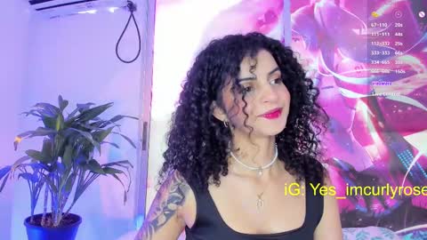 Snapshot of curlyrose_ chatting on February 26, 2025, 8:44 pm Rose online show from February 26, 2025, 8:44 pm