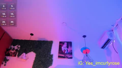 Snapshot of curlyrose_ chatting on September 9, 2025, 10:09 pm Rose online show from September 9, 2025, 10:09 pm