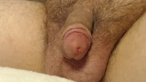 curve66 online show from October 16, 2025, 12:55 am