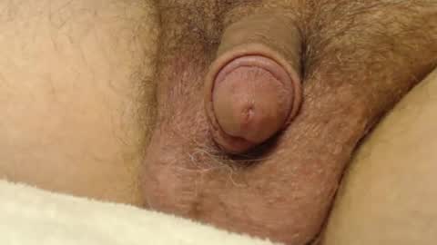 curve66 online show from October 22, 2025, 1:06 am