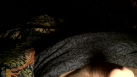 Snapshot of cutcockguy1975 chatting on December 21, 2024, 7:35 am Steve online show from December 21, 2024, 7:35 am