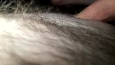 Snapshot of cutcockguy1975 chatting on January 28, 2025, 4:18 am Steve online show from January 28, 2025, 4:18 am