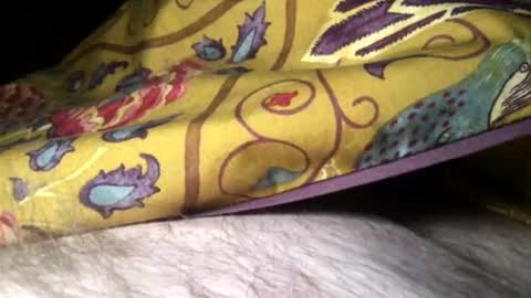 Snapshot of cutcockguy1975 chatting on February 10, 2025, 11:34 pm Steve online show from February 10, 2025, 11:34 pm